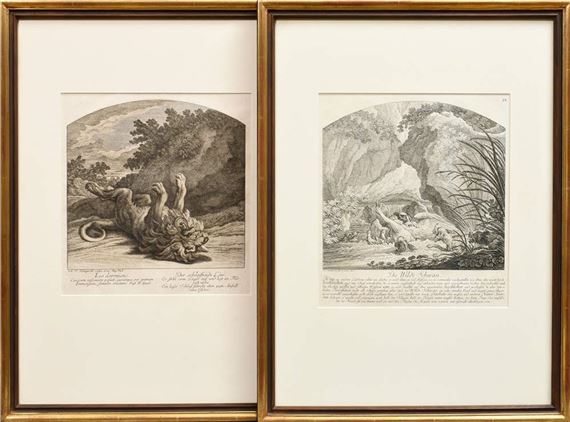 Der wilde Schwan by Johann Elias Ridinger