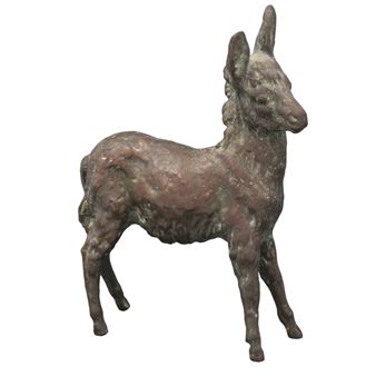 Asinello - Nino Geraci