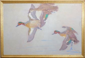 Three flying greenwing teal - Reginald F. Bolles