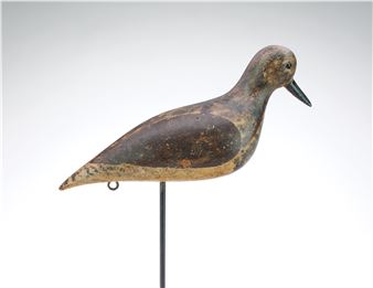 Black bellied plover - Fred Bennett