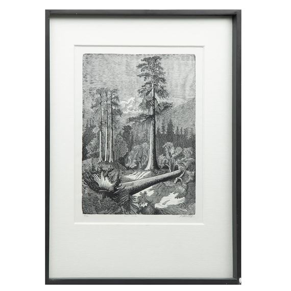 Untitled by Carlos Alvarado Lang