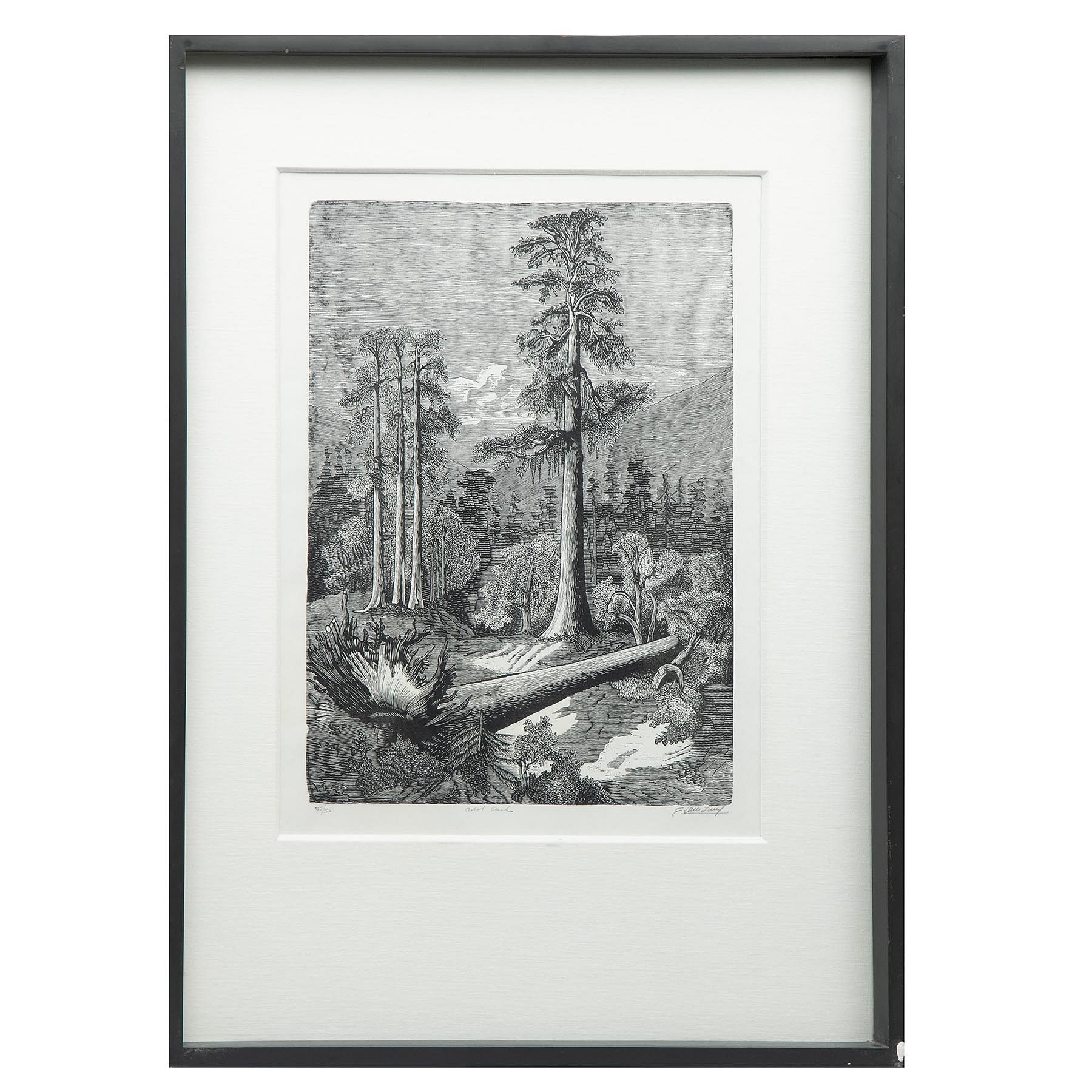 Artwork by Carlos Alvarado Lang, Untitled, Made of woodcut