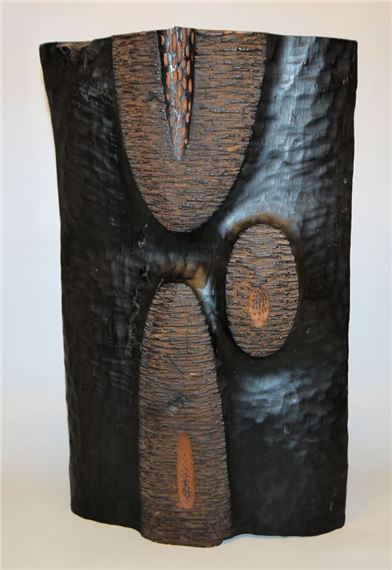 Organische Formen - Mariano Cerne