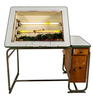 Untitled - Benjamin Saurer