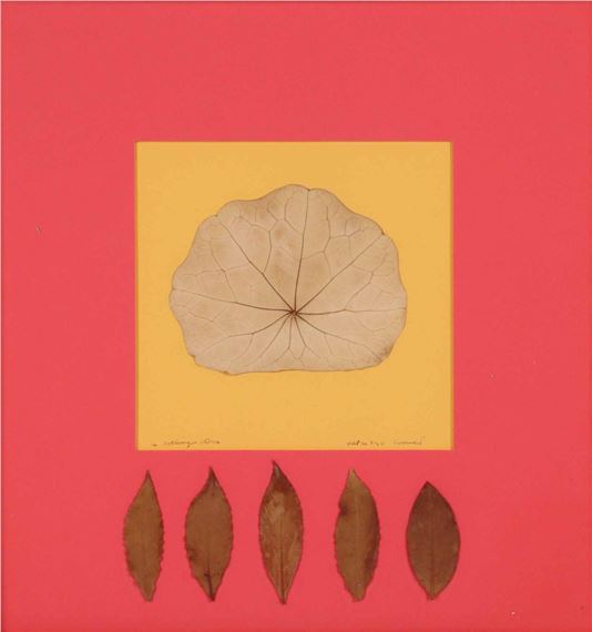 Hilton McConnico | A flower without a wall (1943) | MutualArt