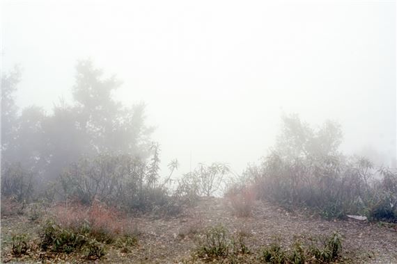 Yes, there will also be singing - UCI Art Gallery 