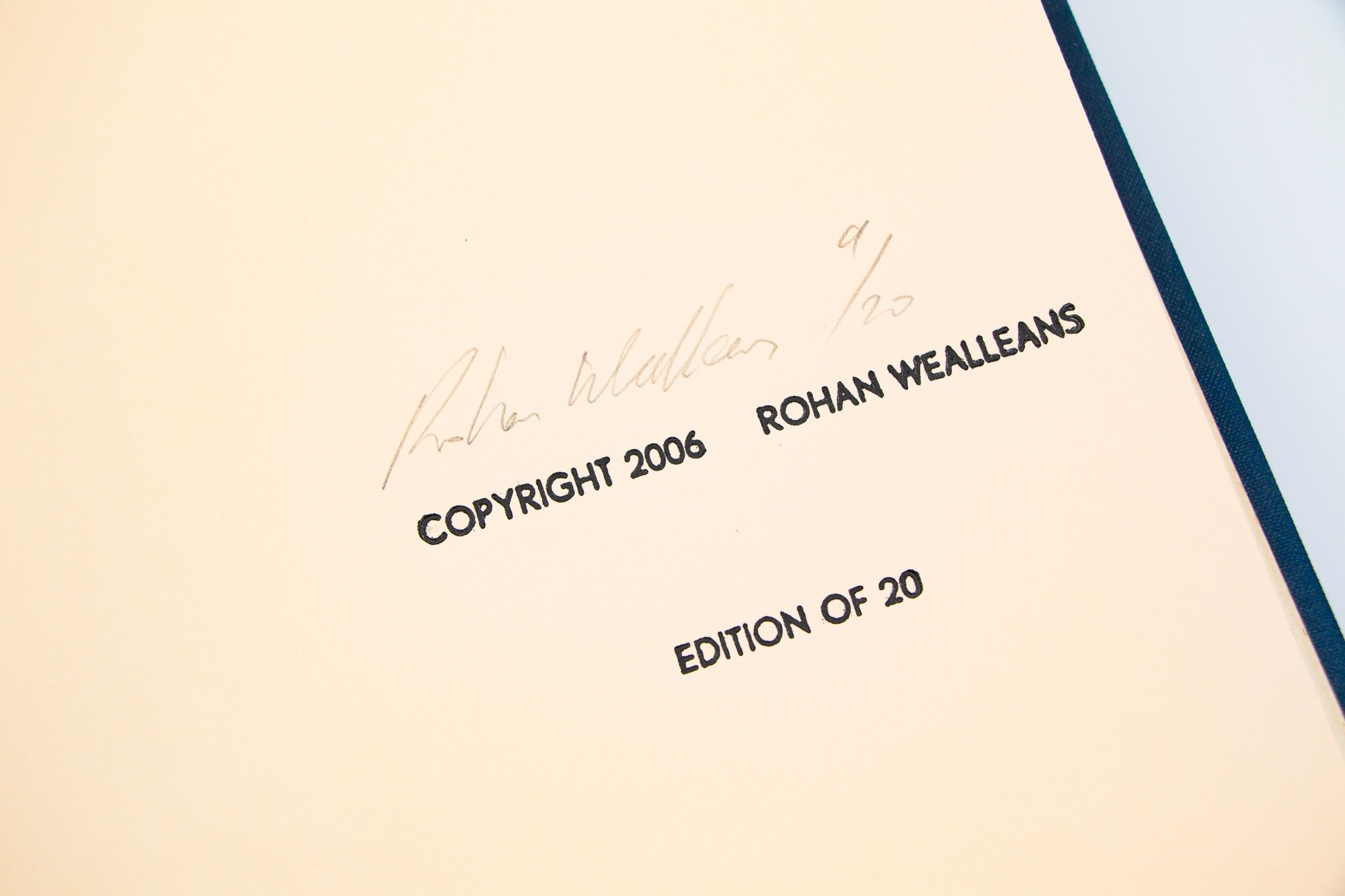 Rohan Wealleans | The Bush Scripts | MutualArt