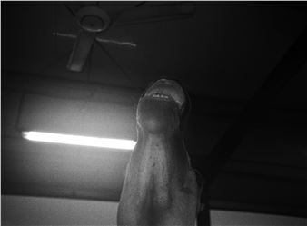 Farah Al Qasimi: Toy World - The Third Line, Dubai