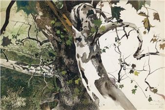 Every Leaf & Twig: Andrew Wyeth’s Botanical Imagination - Brandywine Museum of Art