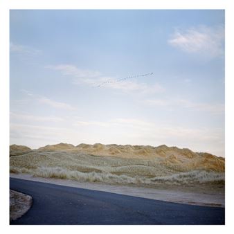 Birds Migrate Over a Once-Mobile Dune System Which Has Been Stabilized by Marram Grass Allegedly Planted by Local Schoolchildren - Alicia Bruce