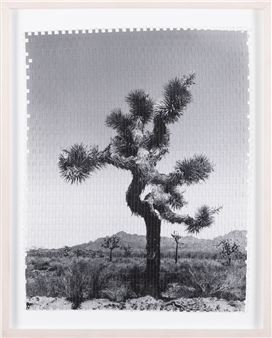 Karma Tree No. 1 - Fernando Bengoechea