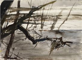 Abstract Flash: Unseen Andrew Wyeth