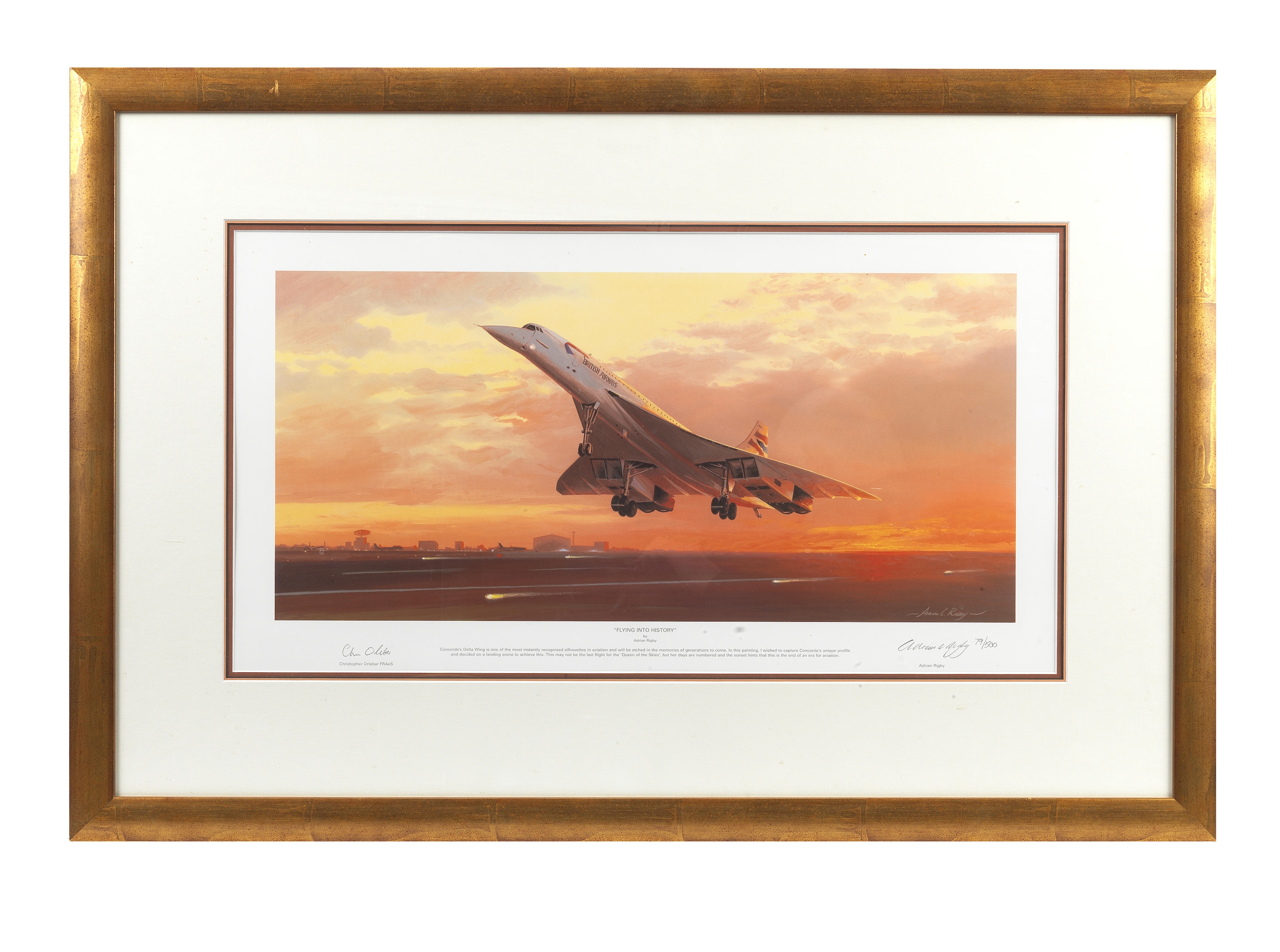 Adrian Rigby | Flying into History | MutualArt