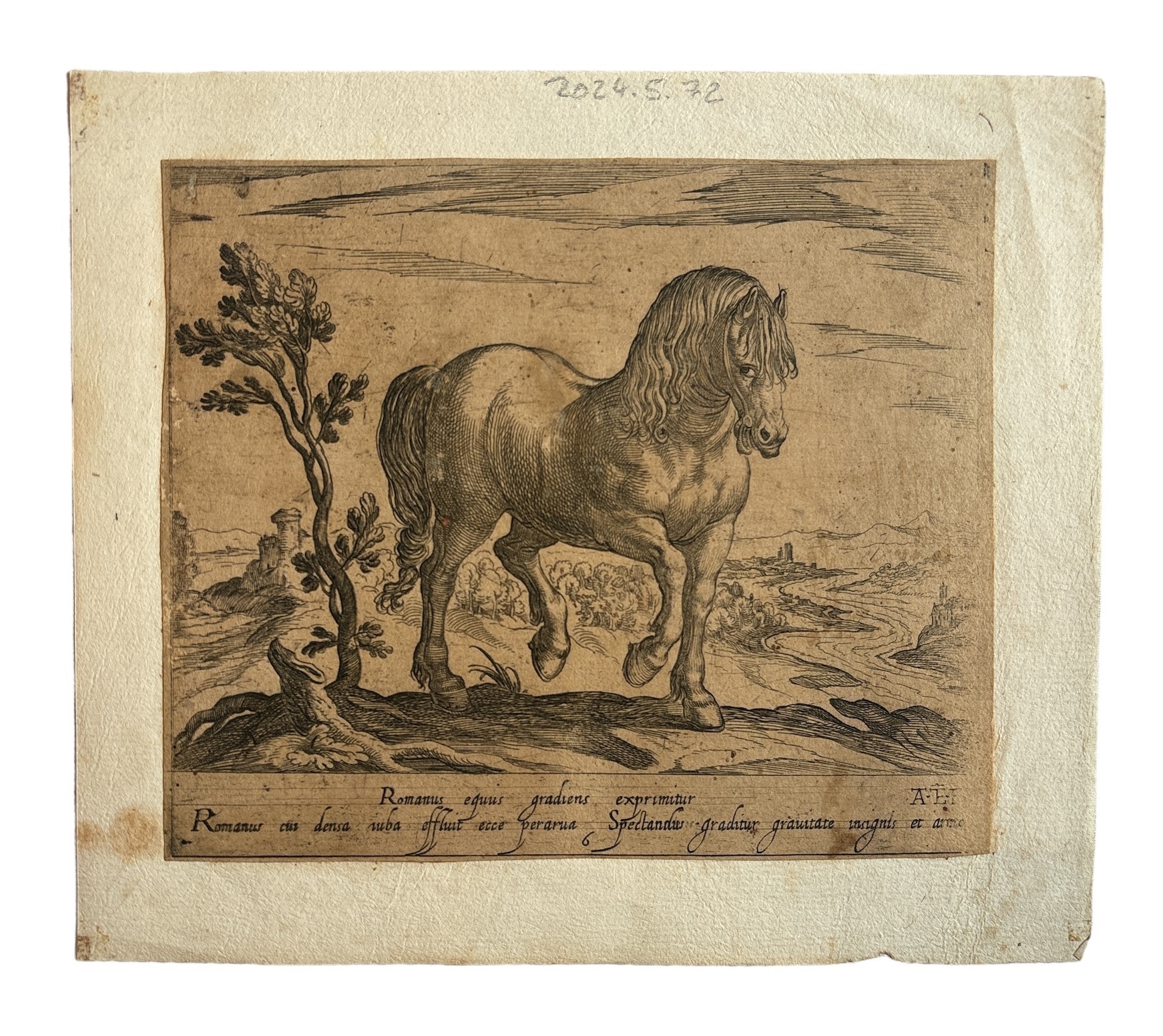 Romanus equus gradiens exprimitur, Fine XVI secolo by Antonio Tempesta
