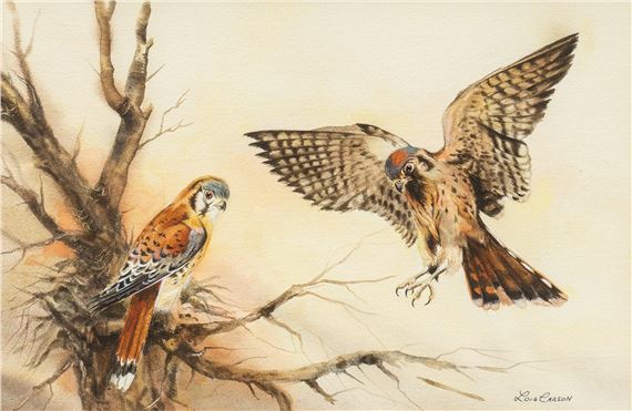 Two Hawks - Lois Carson