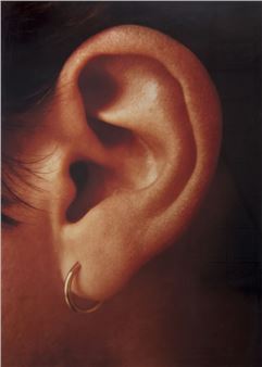 A Home for Something Unknown / Les Levine / Isa Genzken