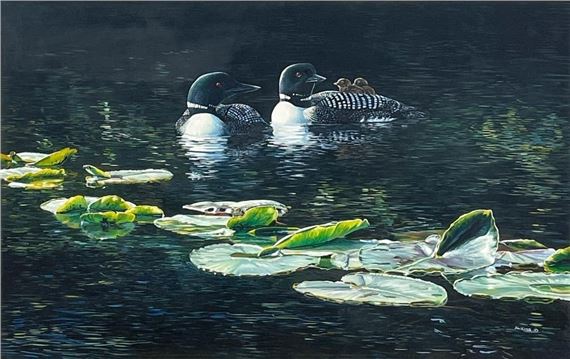 Untitled (Loons) by Andrew Kiss