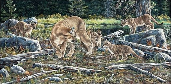 Untitled (Mountain Lions) by Andrew Kiss