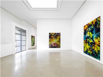 Thomas Ruff: d.o.pe. - PKM Gallery
