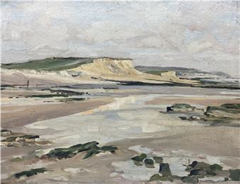 The Hampshire Coast - Emily Court