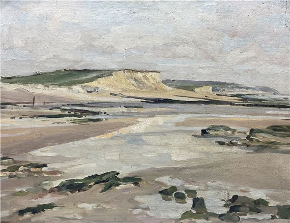 The Hampshire Coast - Emily Court
