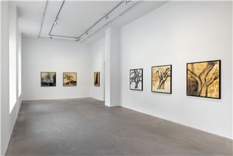 Ulrik Samuelson - Anna Bohman Gallery