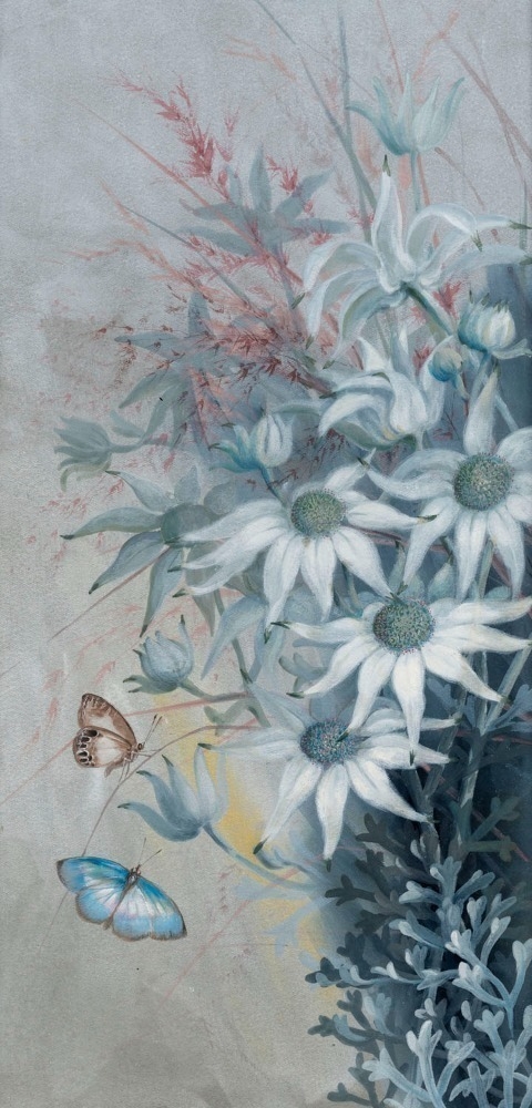 Flannel flowers and butterflies - Marian Ellis Rowan