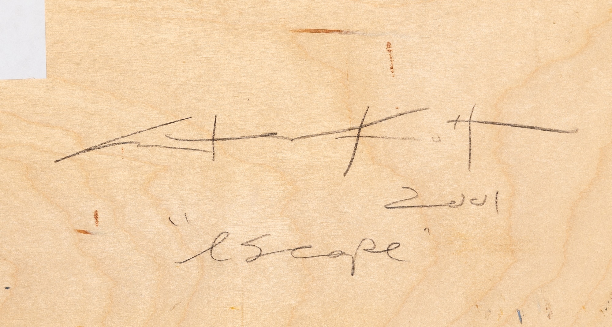 Artwork by Cynthia Knott, Escape, Made of Oil, encaustic and metallic on panel