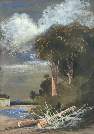 Near Westoe, Rangitikei - William Fox