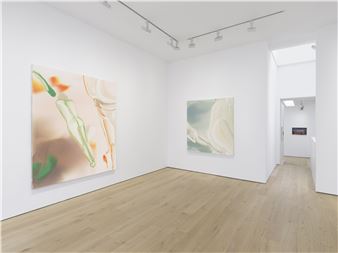  Accordion Fields - Lisson Gallery, London (Lisson Street)