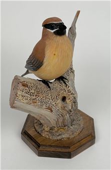 PETER ZELLER CEDAR WAXWING CARVING - Peter Zeller