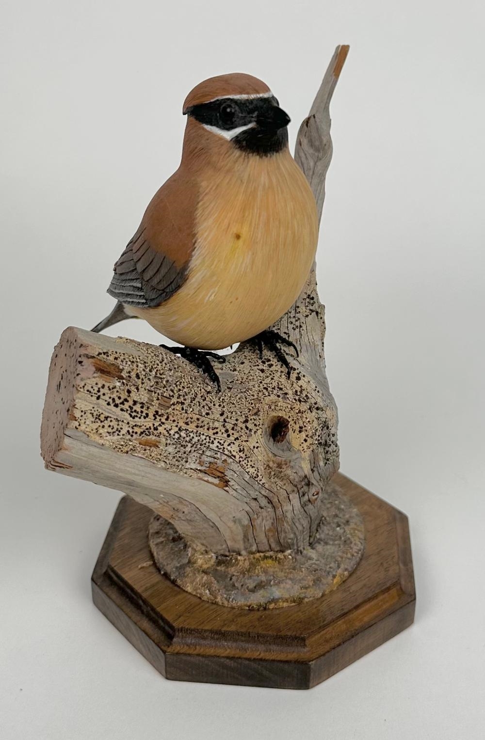 Artwork by Peter Zeller, PETER ZELLER CEDAR WAXWING CARVING, Made of driftwood and mahogany