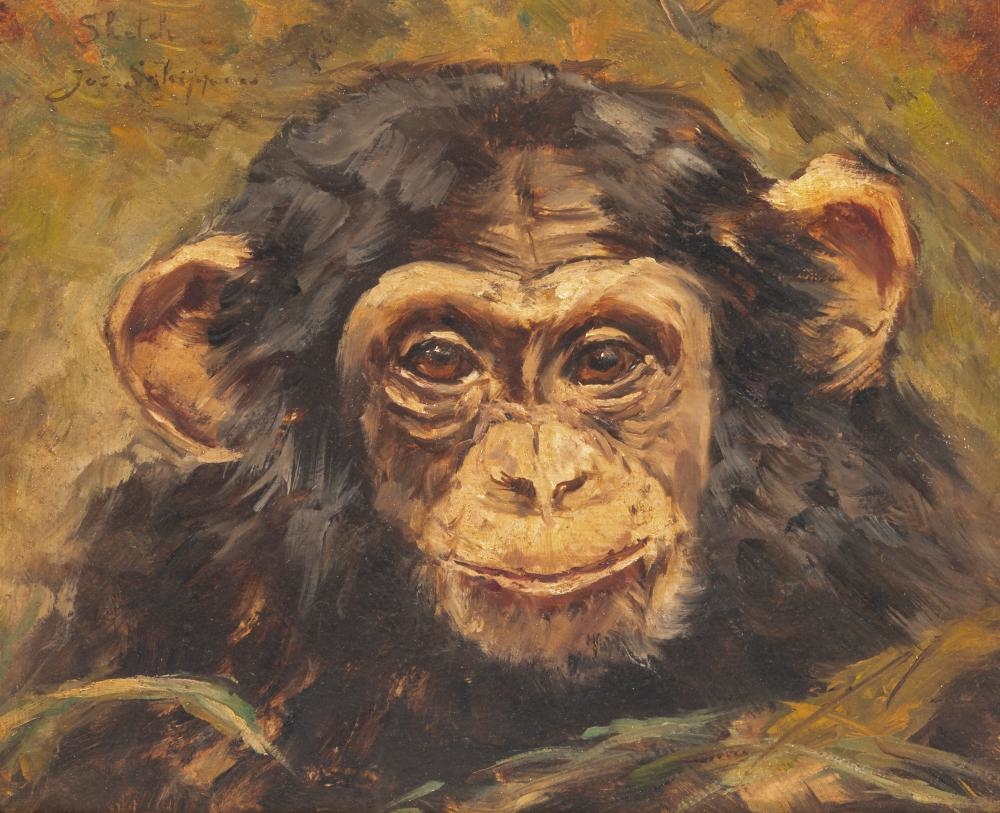 Joseph Schippers | portrait of a chimpanzee | MutualArt