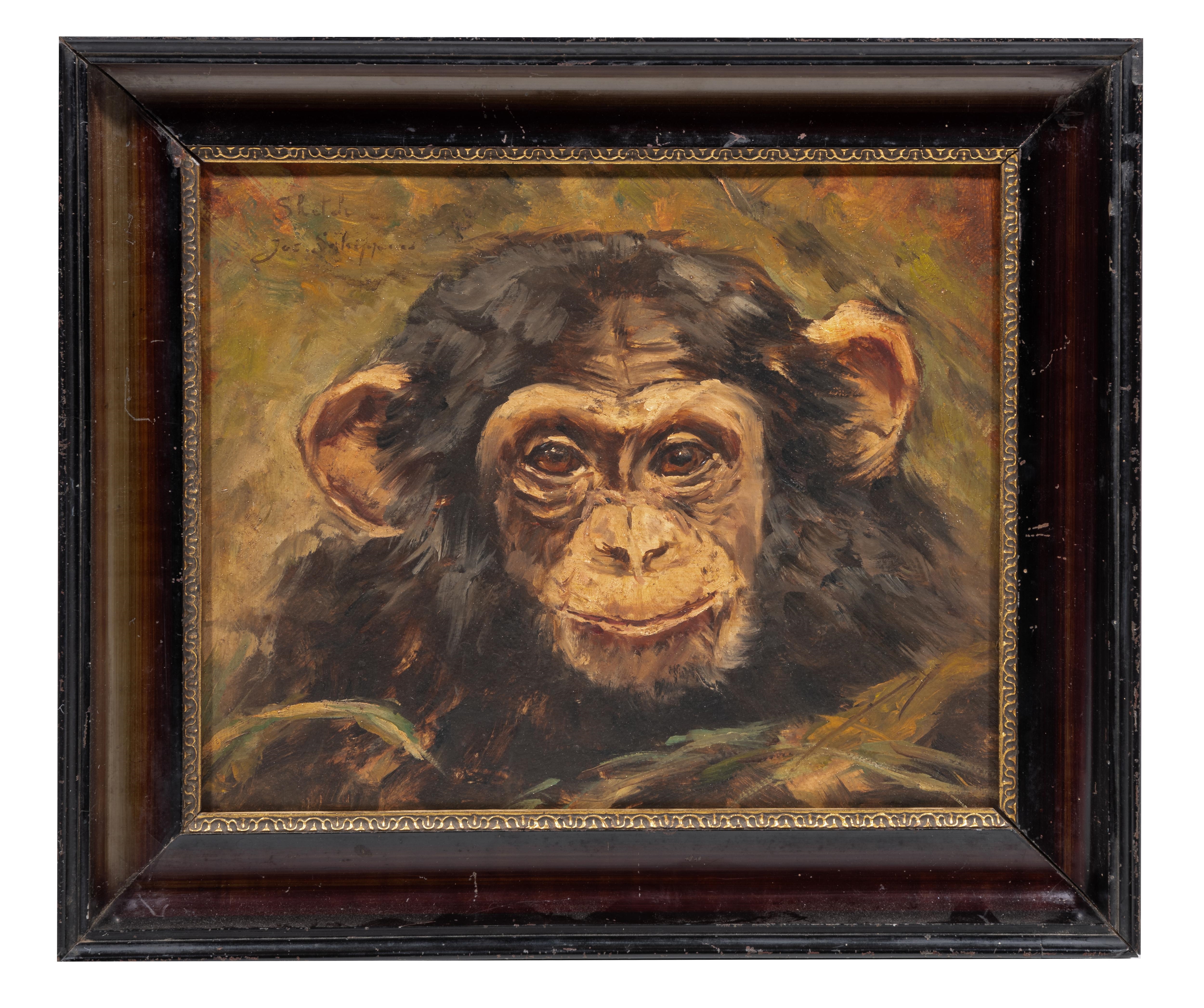 Joseph Schippers | portrait of a chimpanzee | MutualArt