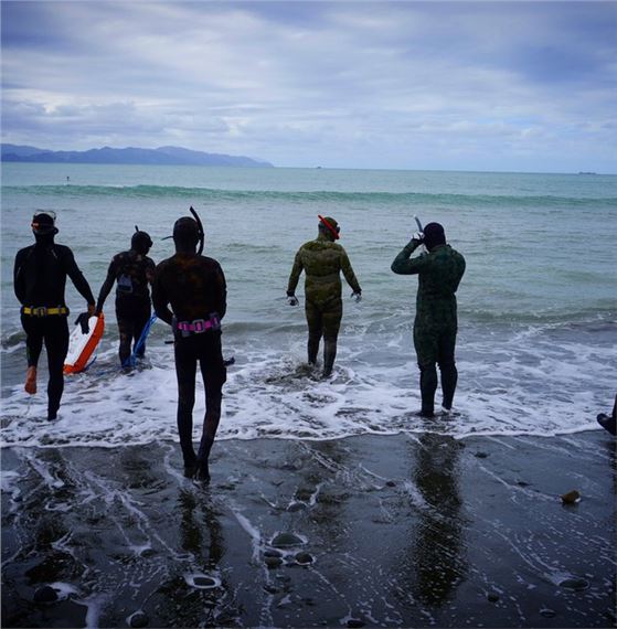 Te Ara O Raukawa Moana | Exhibitions | MutualArt