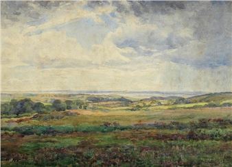 Strangford Lough From the Lead Mines - David Gould