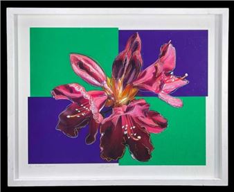 Picton Surprise - Ian Jacob