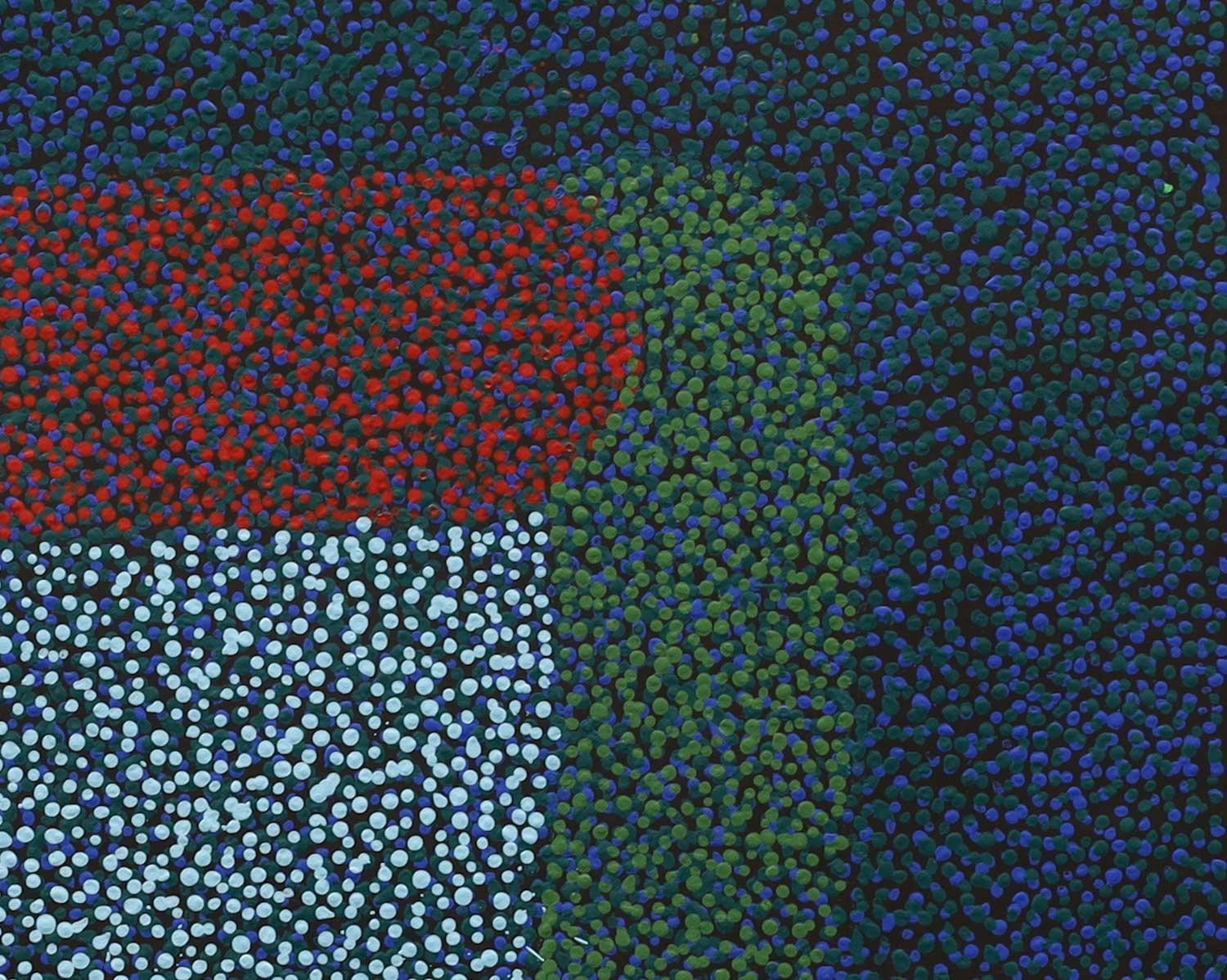 Artwork by Marie Rennie, Bush Seeds, Made of Acrylic on linen