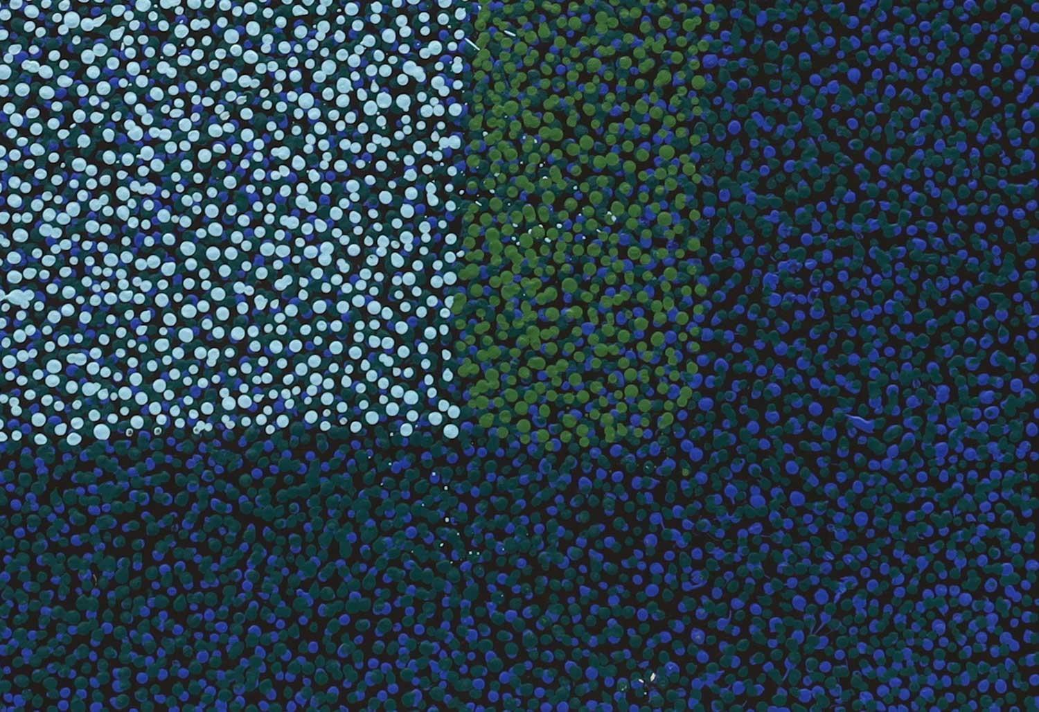 Artwork by Marie Rennie, Bush Seeds, Made of Acrylic on linen