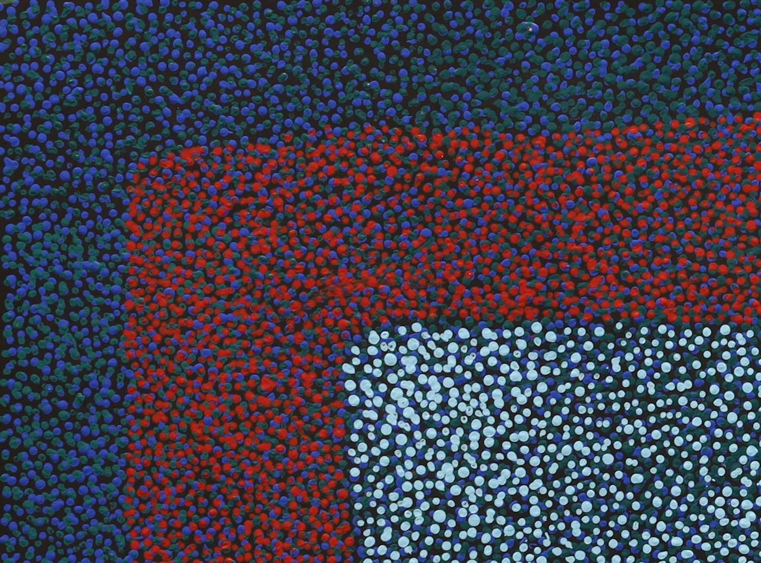 Artwork by Marie Rennie, Bush Seeds, Made of Acrylic on linen