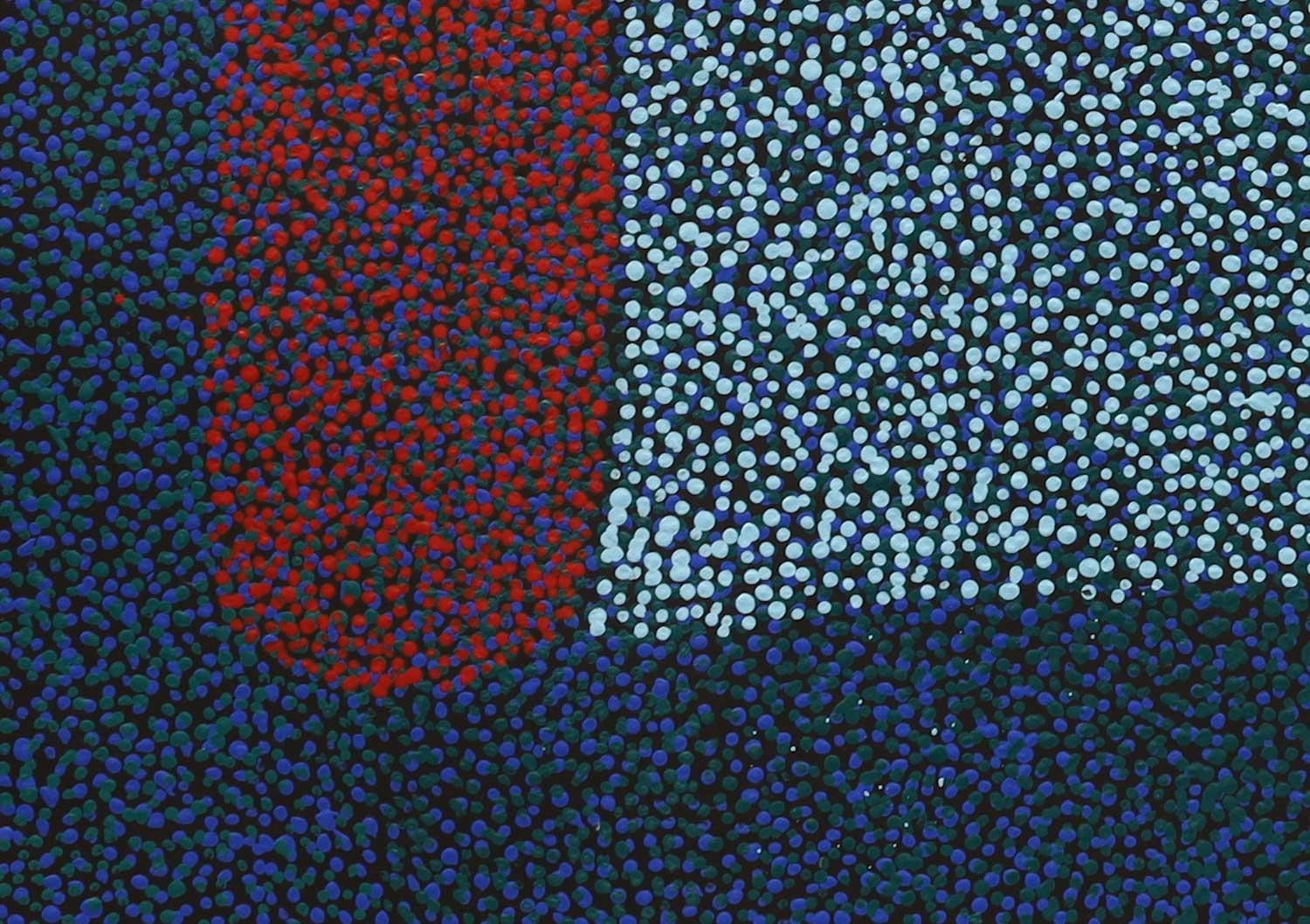 Artwork by Marie Rennie, Bush Seeds, Made of Acrylic on linen