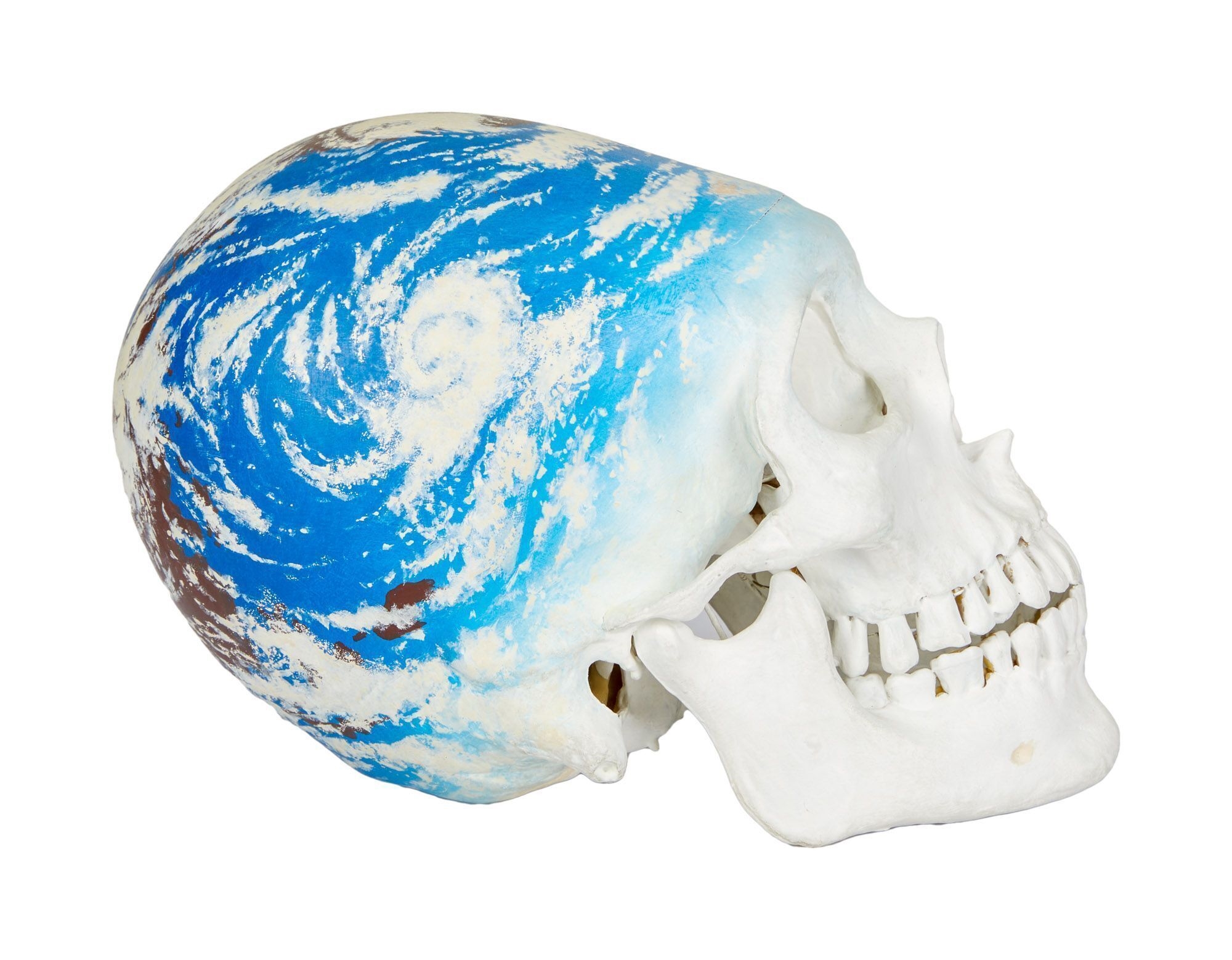 Artwork by Kerig Pope, Playboy | Kerig Pope Painted Plaster Skull, Made of painted plaster