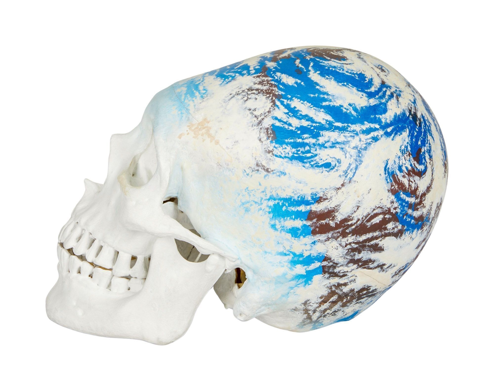 Artwork by Kerig Pope, Playboy | Kerig Pope Painted Plaster Skull, Made of painted plaster