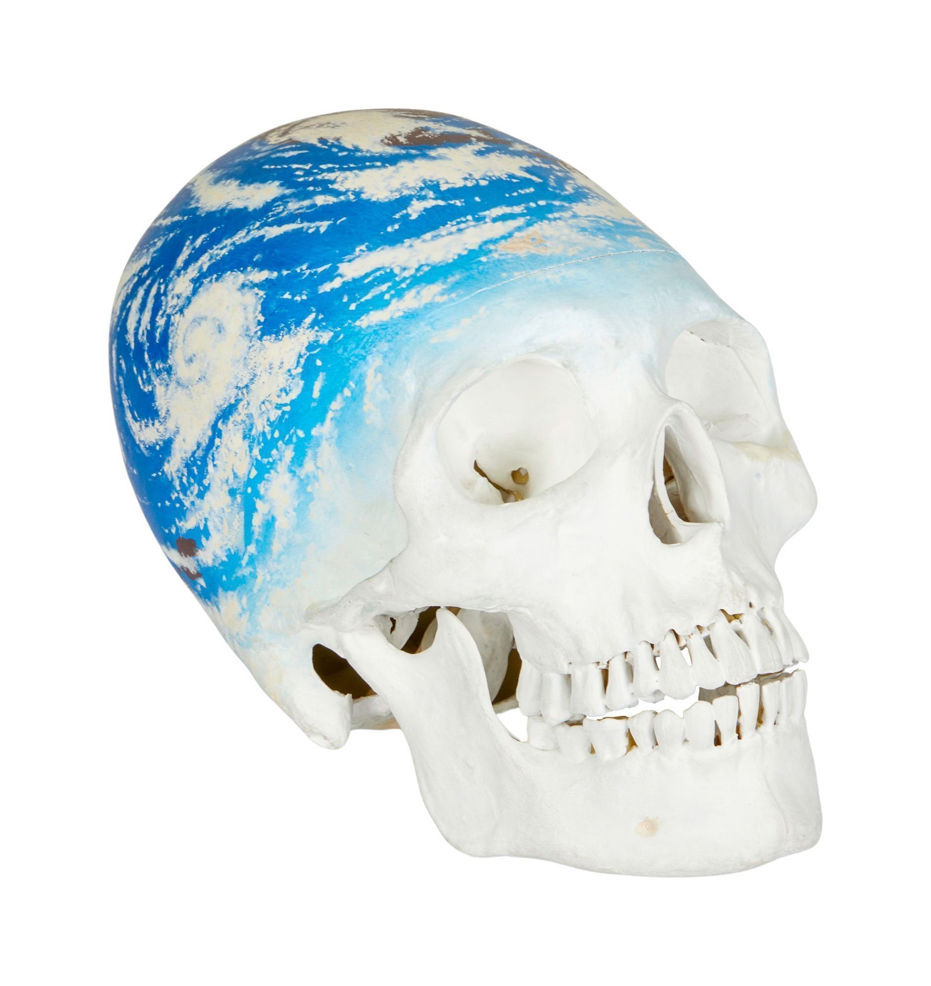 Artwork by Kerig Pope, Playboy | Kerig Pope Painted Plaster Skull, Made of painted plaster