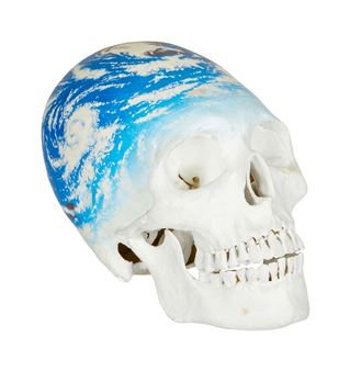 Playboy | Kerig Pope Painted Plaster Skull - Kerig Pope