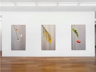 Marie José Burki: Anatomies D’un Monde - Galerie Xippas, Geneva