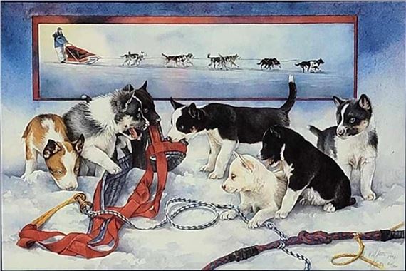 Sled Dog Puppies Playing w/Harnesses by Donna Gates