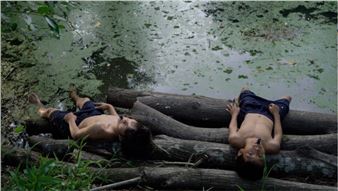 Songs From The Shore 2: The Video Fortnight - Galerie Imane Farès