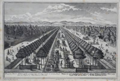 Wien: Barocke Baumallee in der Oberen Augartenstraße by Salomon Kleiner, 1725