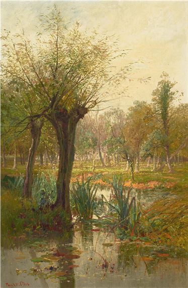Trees and reedy marsh by Paul H. Ellis
